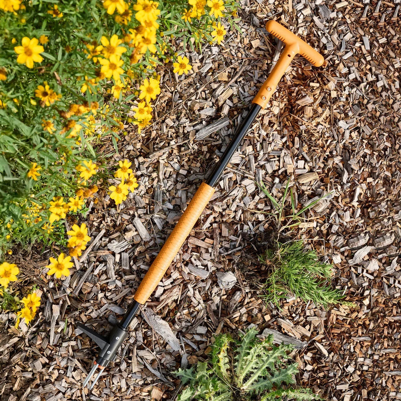 Image of Heavy-Duty Standing Weed Puller