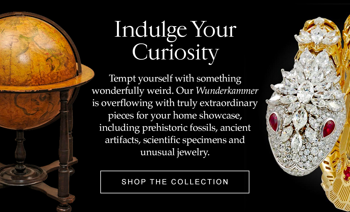 Indulge Your Curiosity