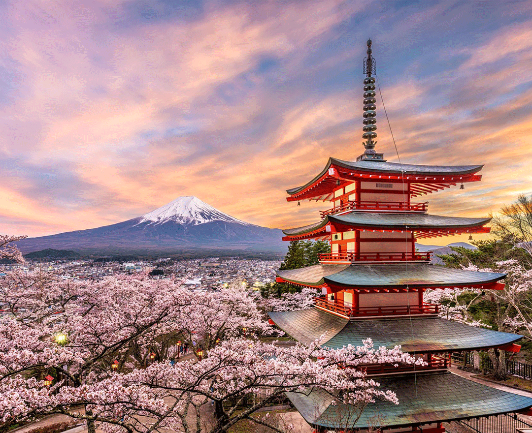 Grande découverte du Japon