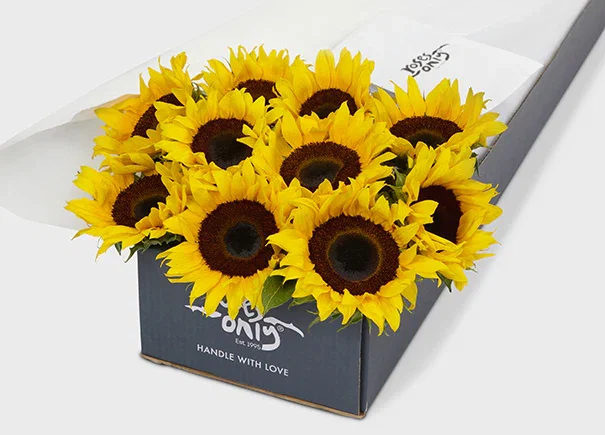 Image of Sunflowers Gift Box (ROA34)