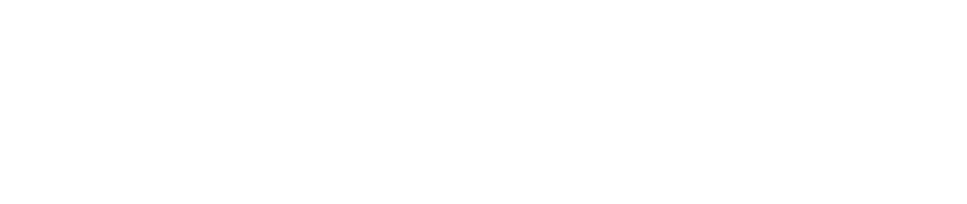 BIOptimizers Logo
