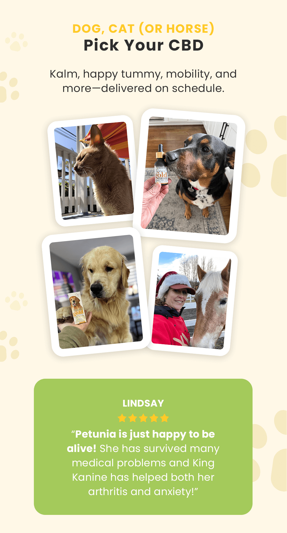 Dog, Cat (or Horse), Pick Your CBD. Kalm, happy tummy, mobility, and more—delivered on schedule.