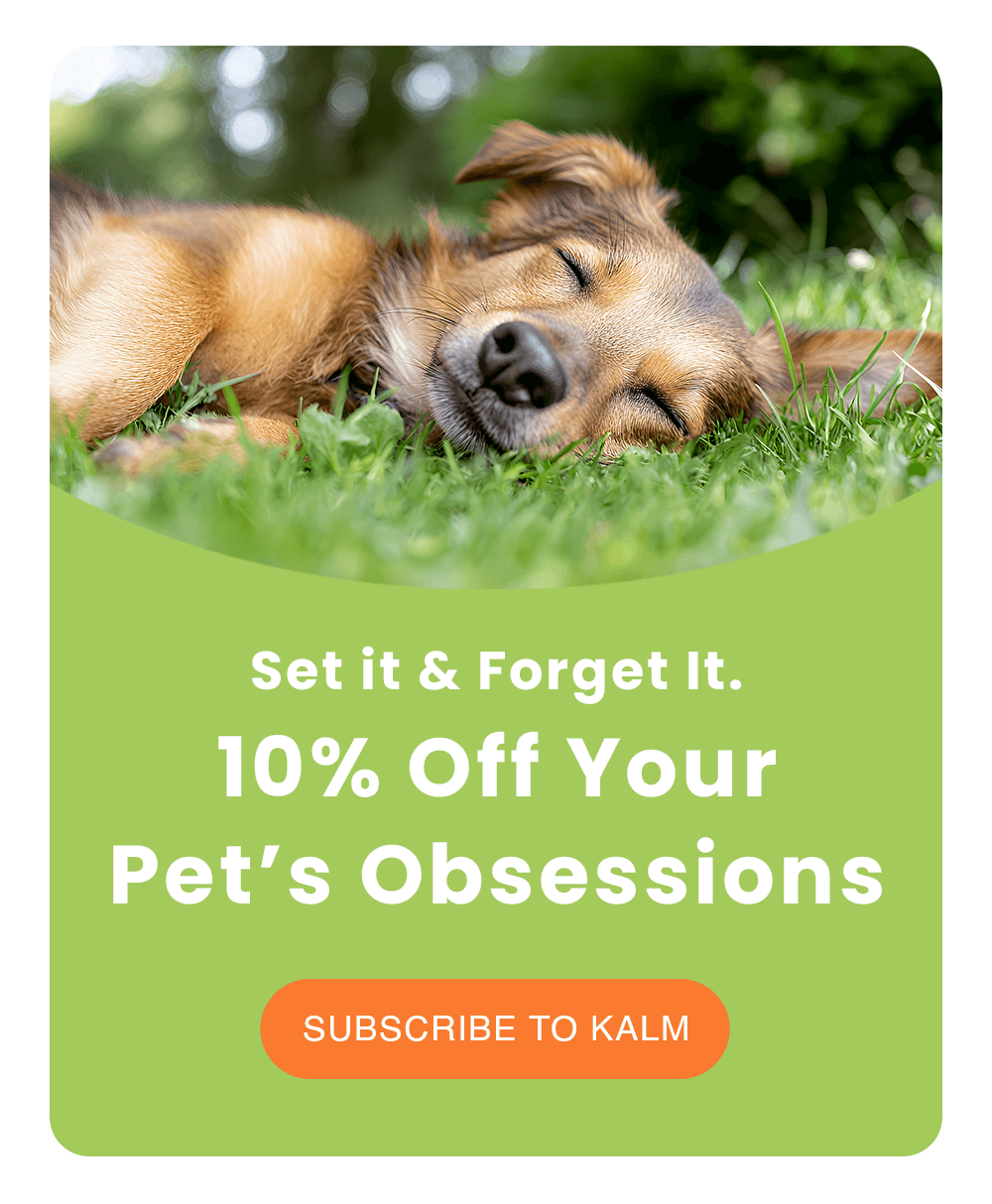 Set it & Forget It. 10% Off Your Pet’s Obsession