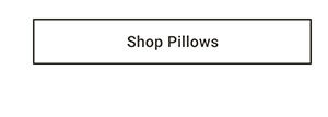 Shop Pillows >