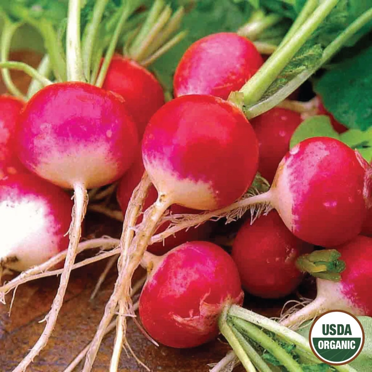 Image of Radish, Sparkler Organic Seeds, 2.6g