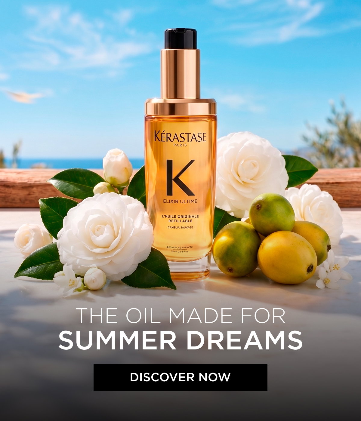 SUMMER DREAMS