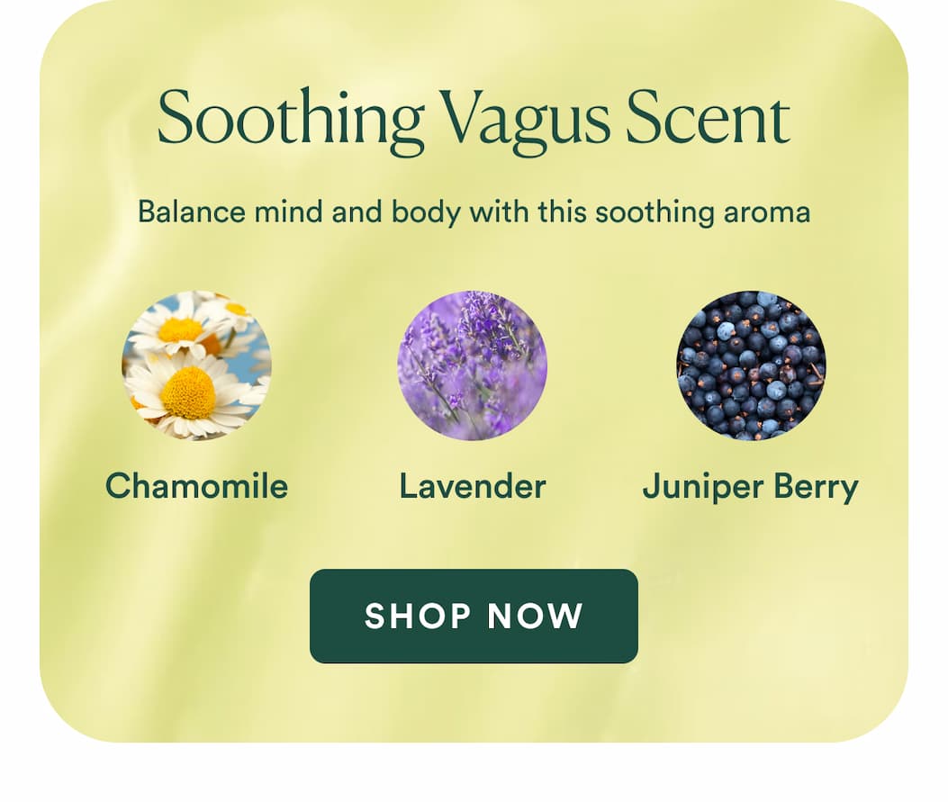 Balance mind and body with this soothing aroma of chamomile, lavender, and juniper. 