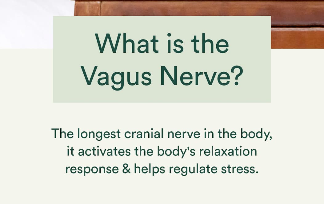 The longest cranial nerve in the body, it activates the body's relaxation response & helps regulate stress.