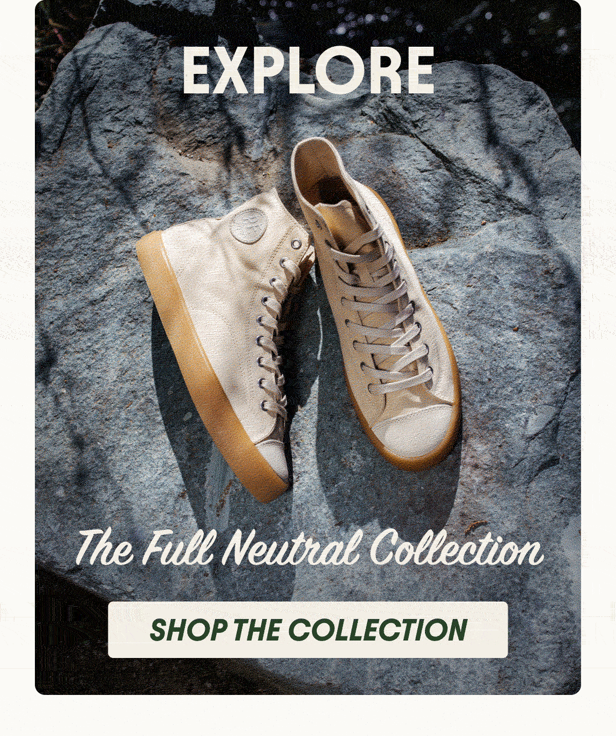 Shop The Collection