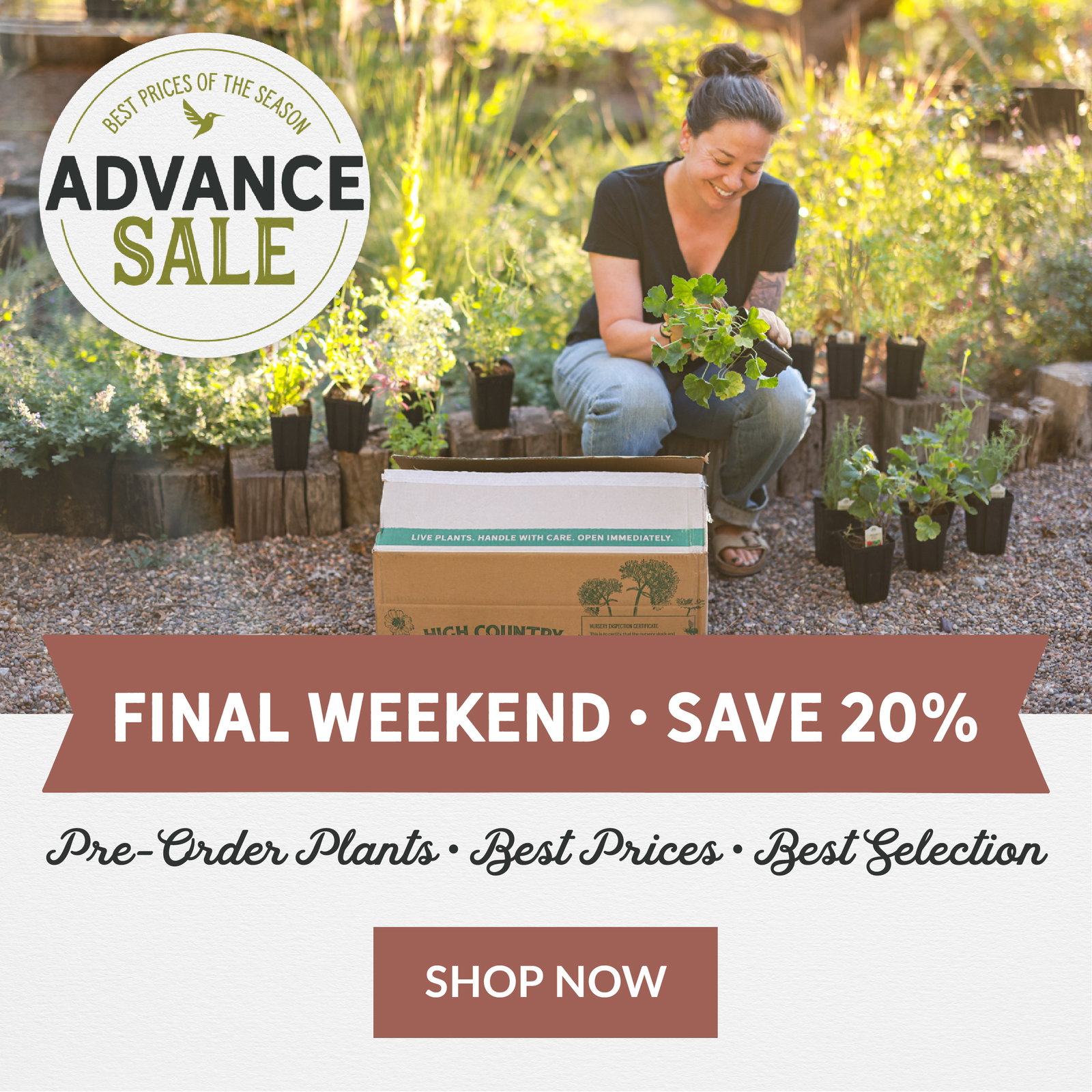 Advance Sale Final Weekend Save 20%