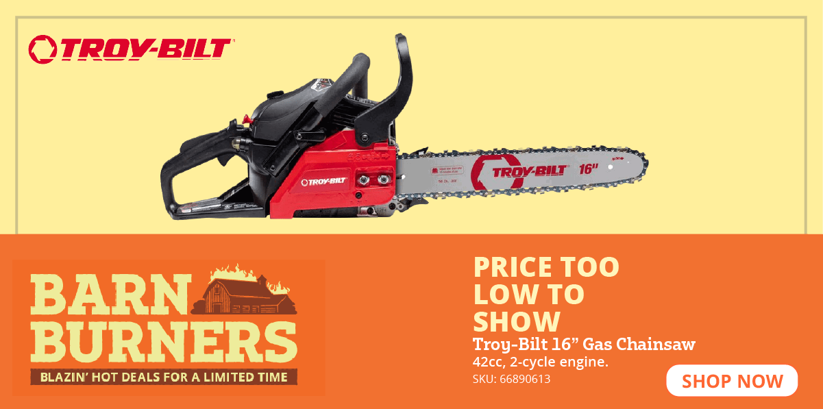 BARN BRUNER CHAINSAW