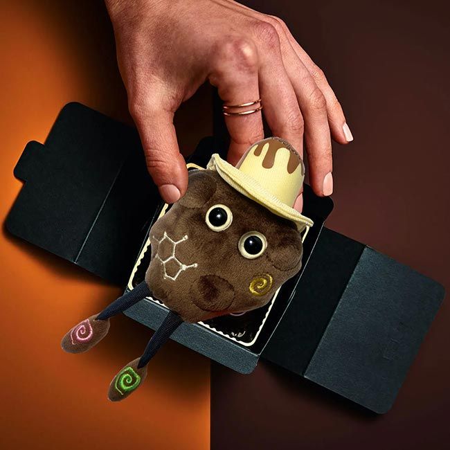 Chocolate plush in hand