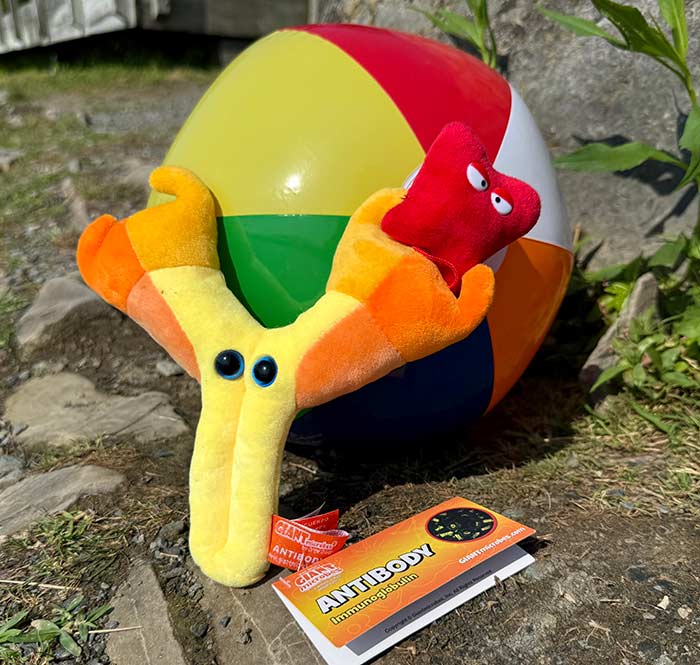 Antibody plush beach ball