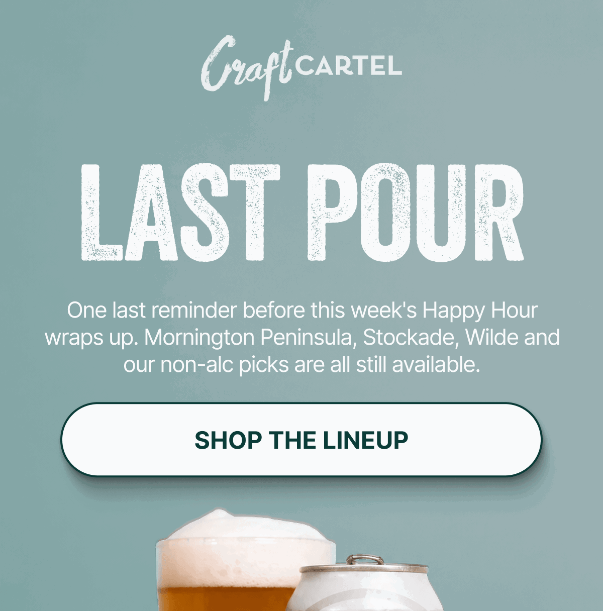 Shop The Lineup