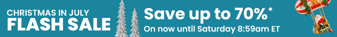 Flash sale