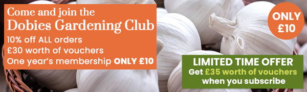 Gardening Club