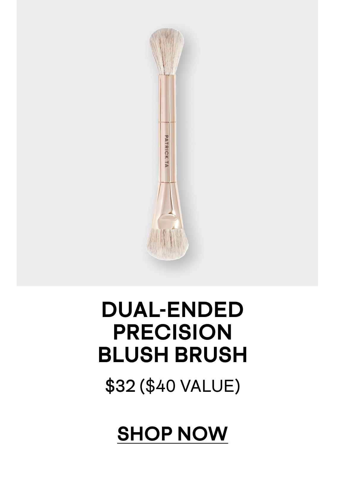 DUAL ENDED PERCISION BLUSH BRUSH
