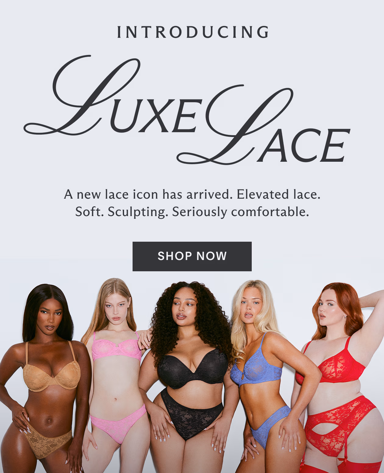 Introducing Luxe Lace