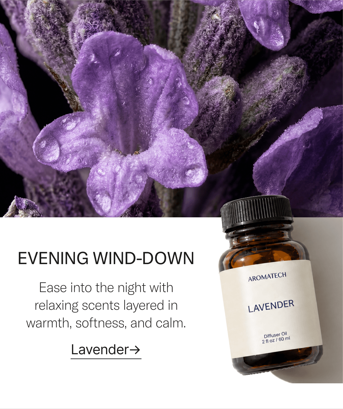 Evening wind-down. Shop Lavender