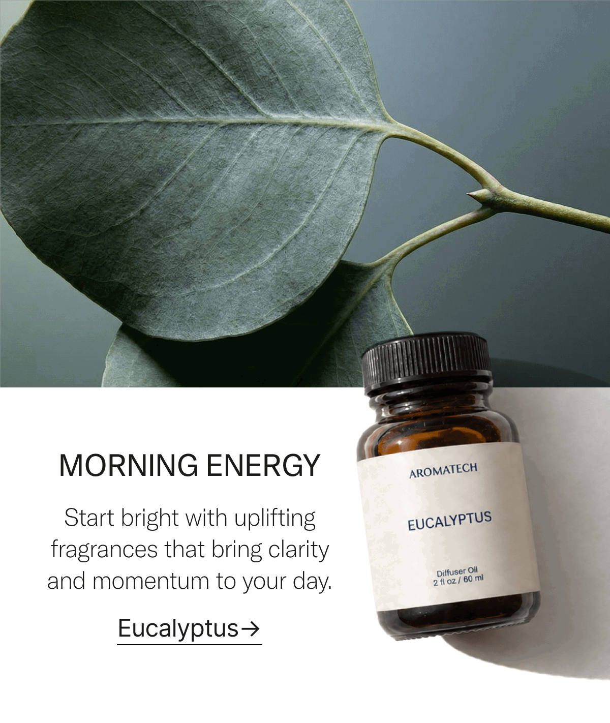 Morning Energy. Shop Eucalyptus