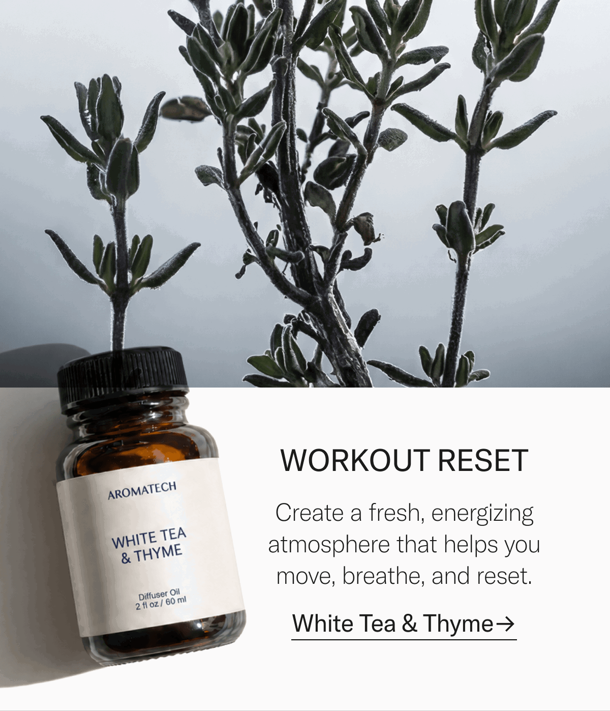 Workout reset. Shop White Tea & Thyme