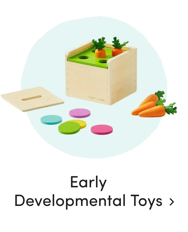 Early Developmental Toys