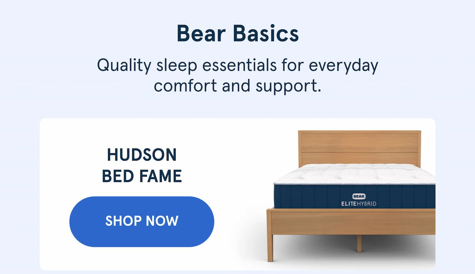 Bear Basics