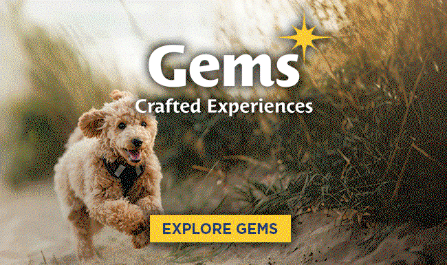 GEMS