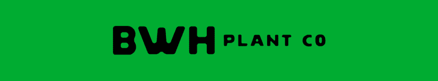 BWH LOGO