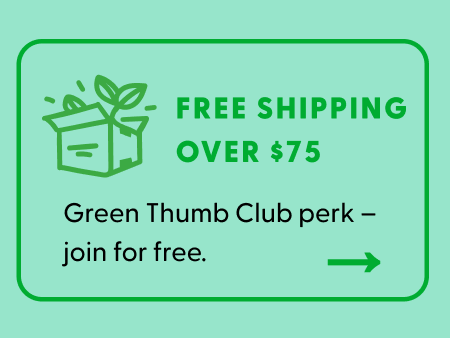 Free shipping over $75 for loyalty members!