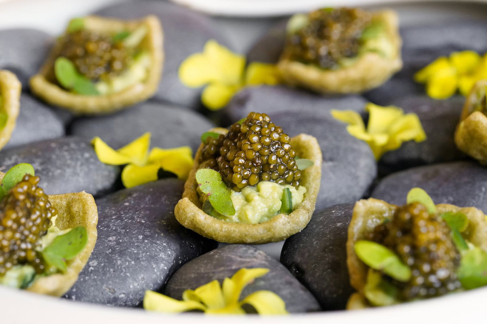 Imperia Caviar