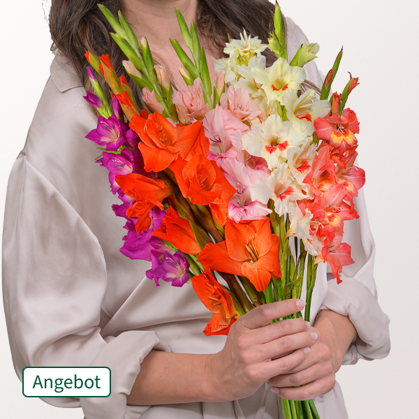 Wunderschön bunte Gladiolen im Bund mit 2 Gratis-Geschenken ab 22,99 €