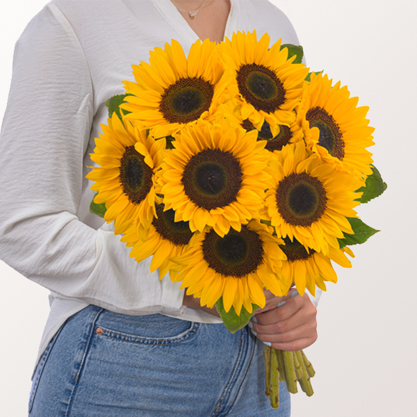 Sonnenblumen im Bund mit Gratis-Vase ab 24,99 €