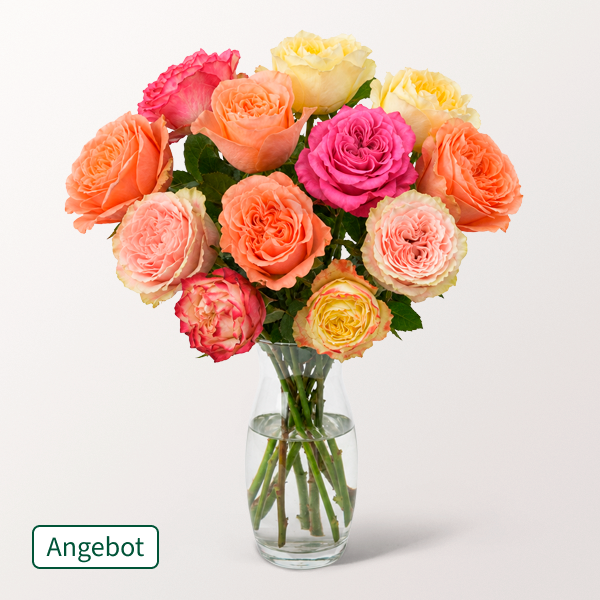 10 gefüllte, pastellfarbene Rosen im Bund mit Gratis-Vase für 26,99 €