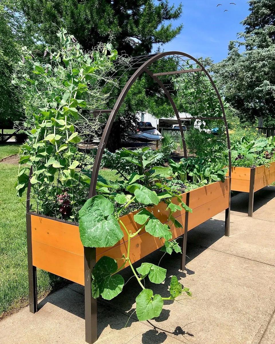 Image of 2' x 8' Arch Trellis for Planter Boxes
