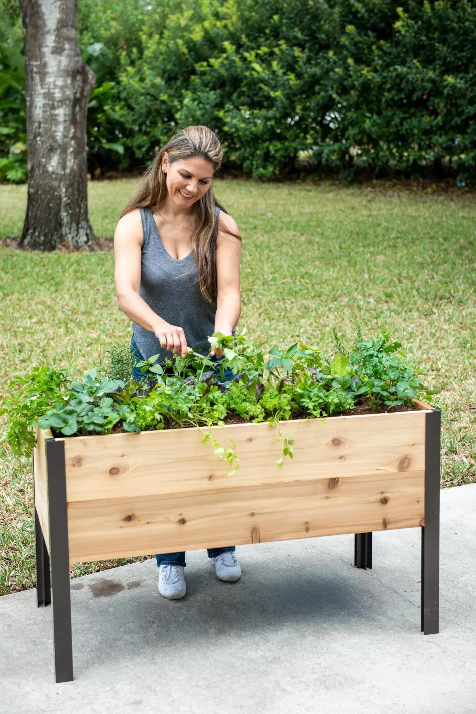 Image of Self-Watering Elevated Cedar Planter Box, 2' x 4'