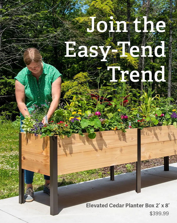Join the Easy-Tend Trend - Elevated Cedar Planter Box 2' x 8' $399.99
