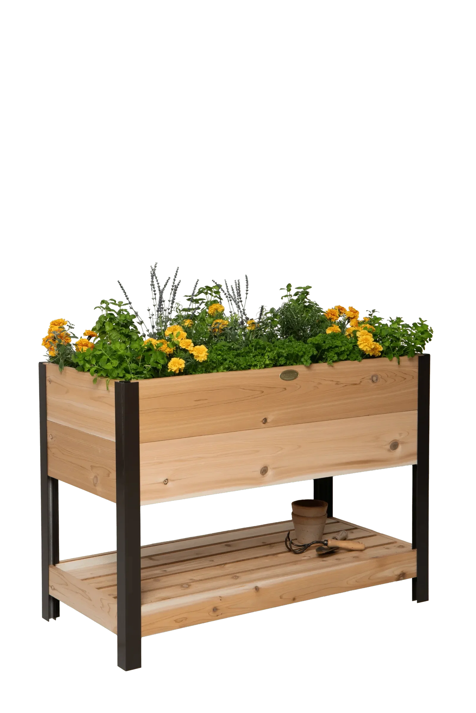 Image of Elevated Cedar Planter Box with Shelf, 2' x 4'