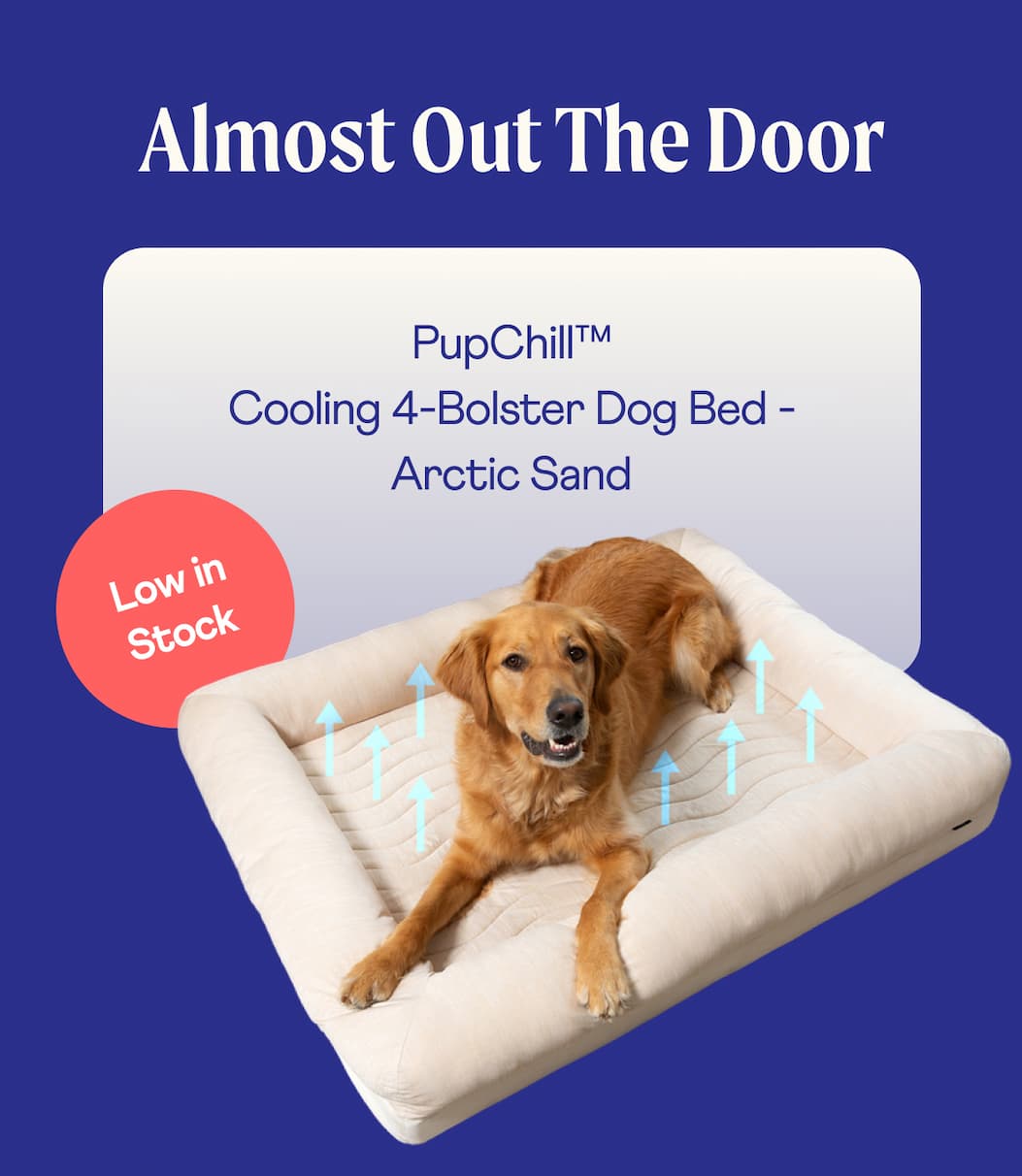 Almost Out the Door  | PupChill™ Cooling 4-Bolster Dog Bed - Arctic Sand 