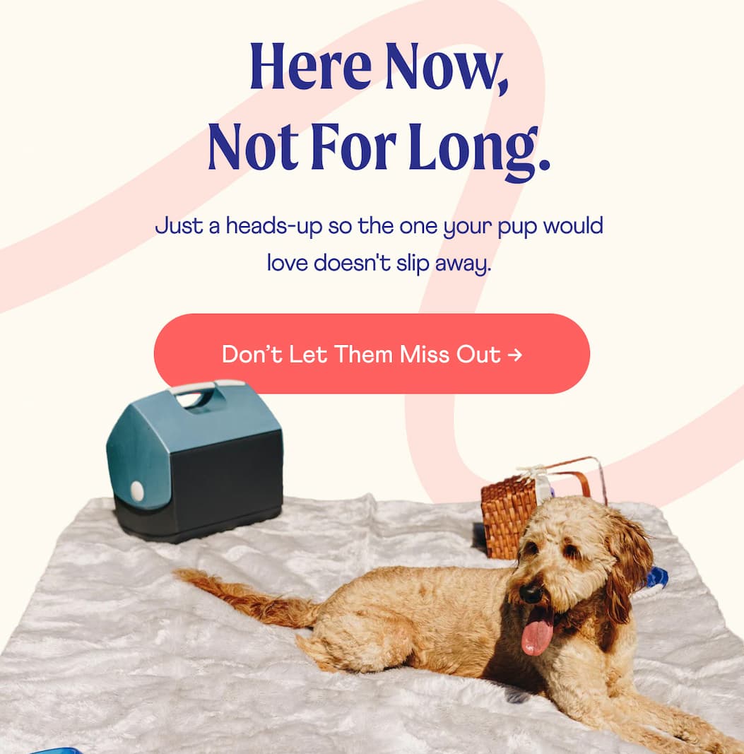 Here now, not for long.  | Just a heads-up so the one your pup would love doesn't slip away. | Don’t Let Them Miss Out →