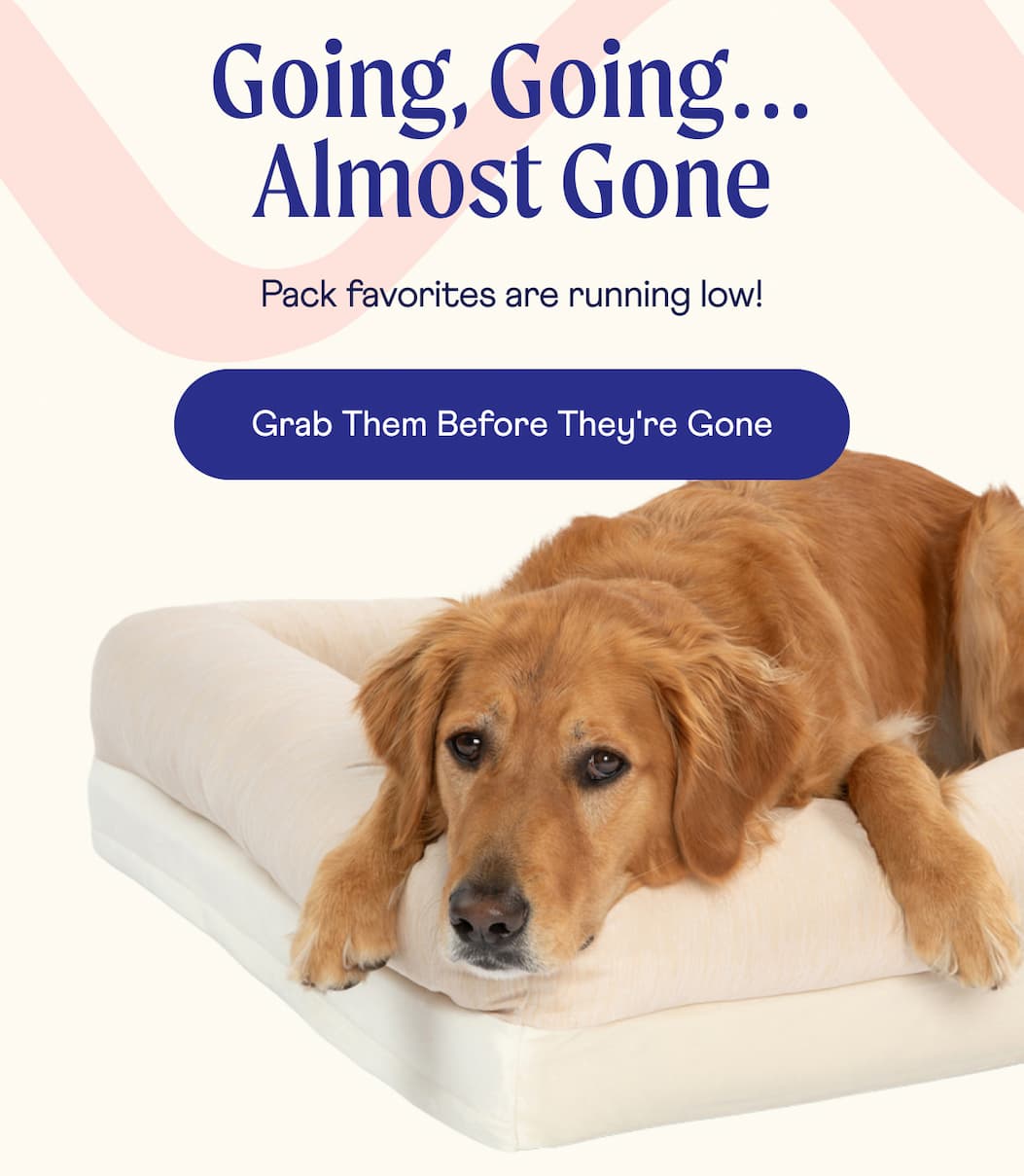 Going, Going… Almost Gone  | Pack favorites are running low! | Grab Them Before They're Gone