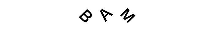 BAM logo