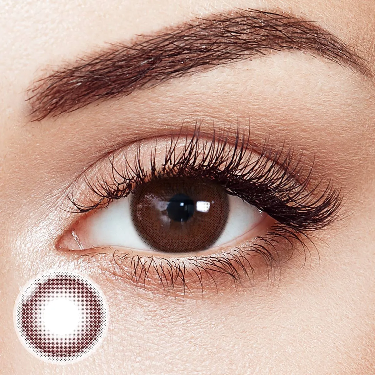 Cirrus Brown Prescription 6 Months Contact Lenses | 2pcs