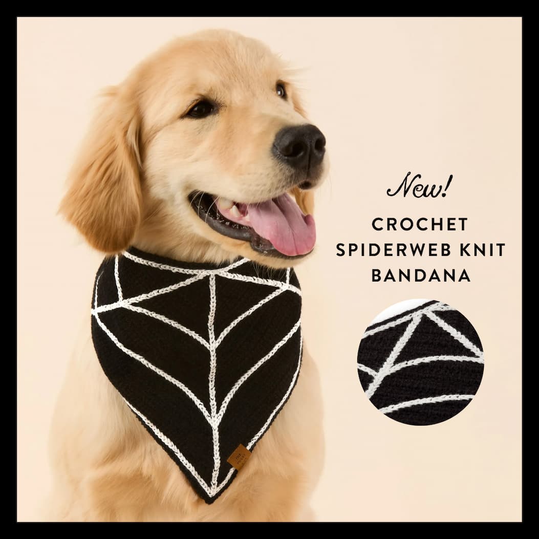 Shop Halloween