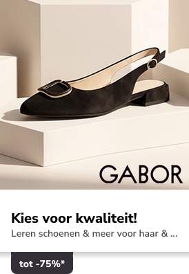 Campaign 0