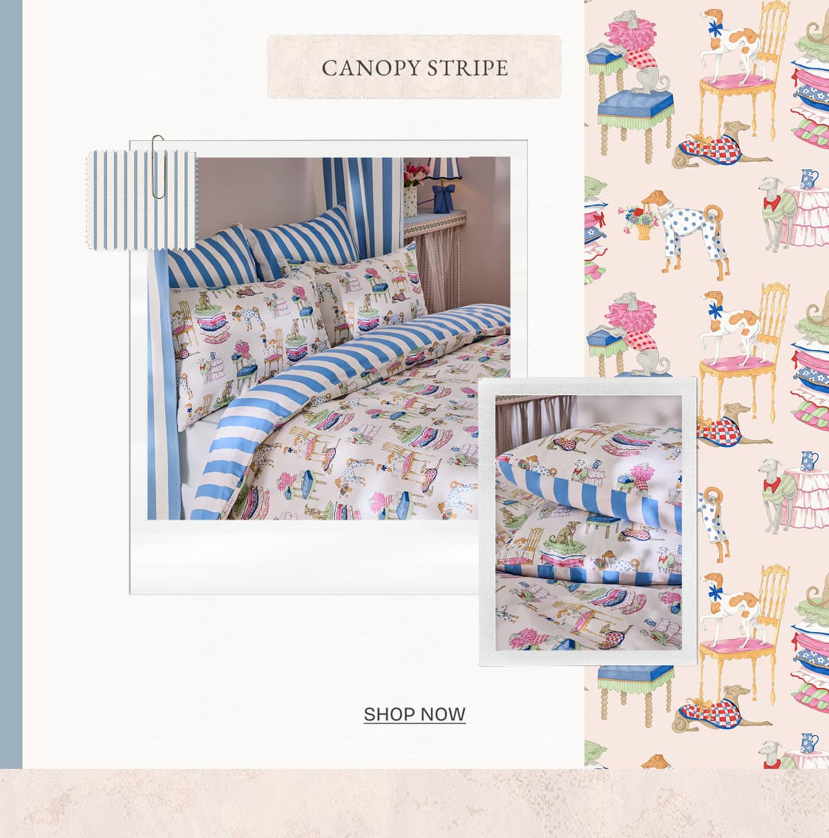 Canopy Stripe