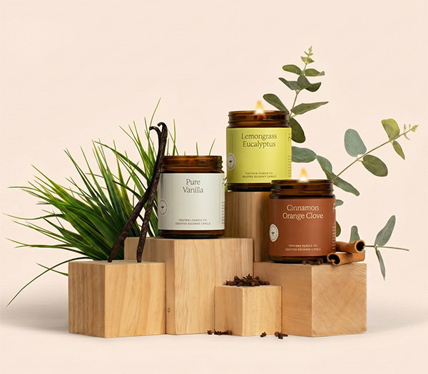 Fontana Starter Bundle