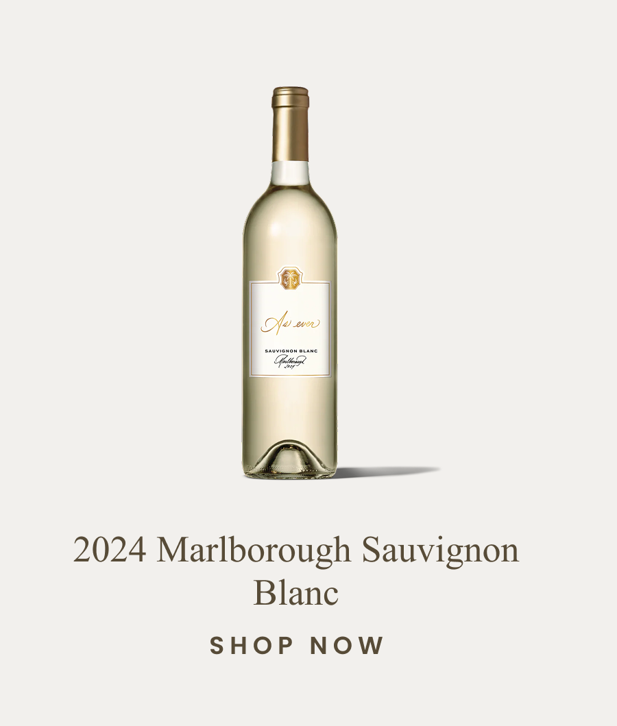 2024 Marlborough Sauvignon Blanc - SHOP NOW
