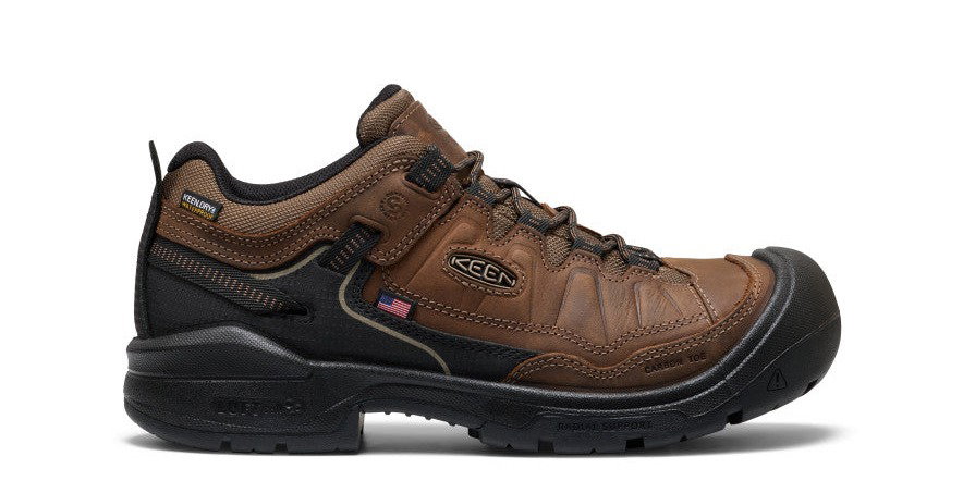 Men's Targhee IV Waterproof Work Shoe (Carbon Toe)