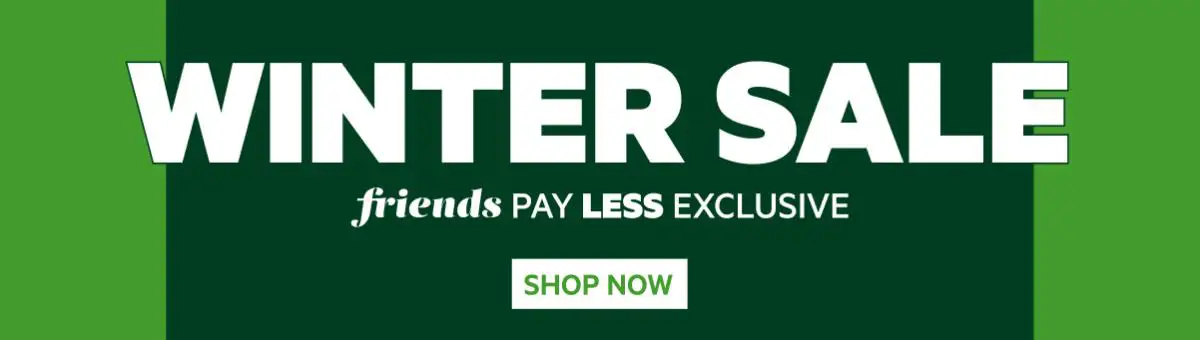 Winter Sale banner